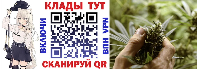 Виды наркотиков купить Няндома APVP  Меф мяу мяу  Амфетамин  Каннабис  COCAIN  Гашиш 