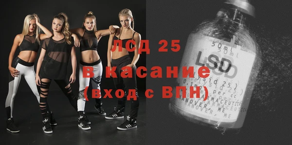 гашик Богданович