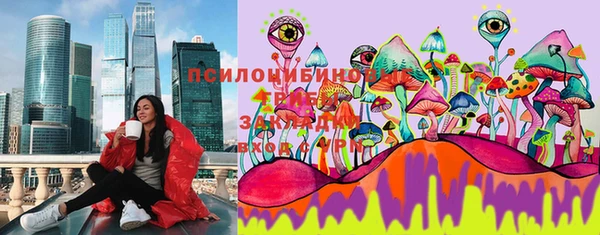 гашик Богданович