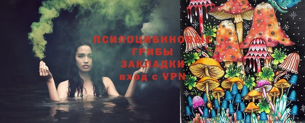 гашик Богданович